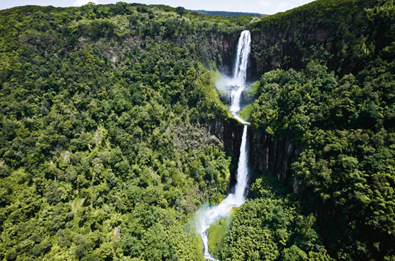 Aberdares National Park
